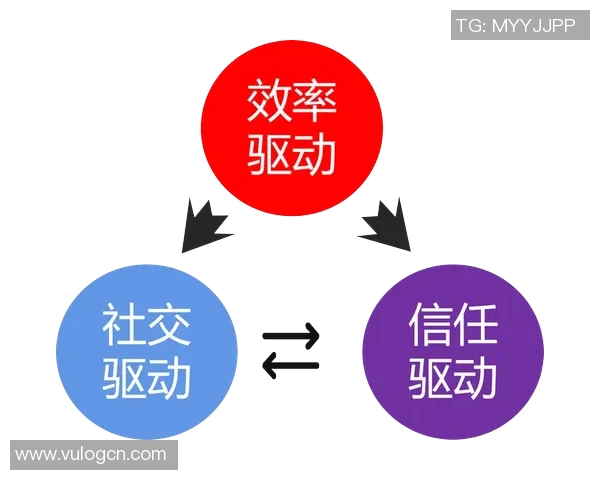 武汉排球队灵活性分析与战术创新的深度探讨